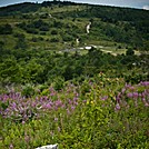 Grayson Highlands Meadow by Visionmonger in Trail & Blazes in Virginia & West Virginia