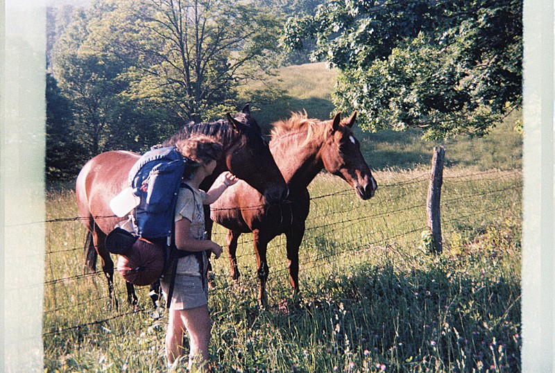Robin and horses 1985
