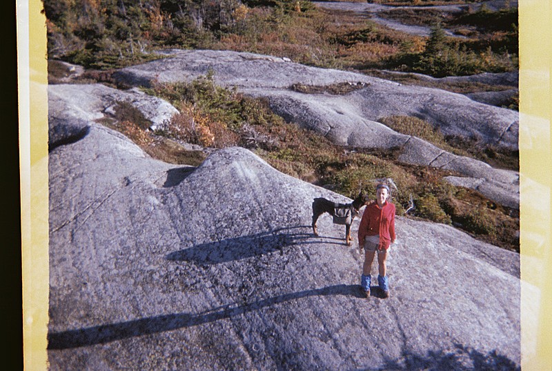 Bald Pate Robin Dobersam 1985