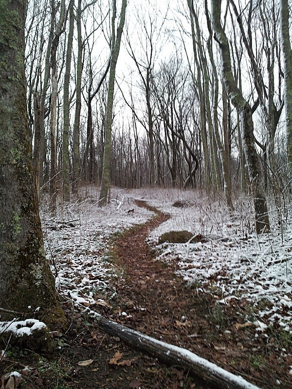 first dusting