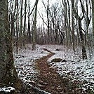 first dusting