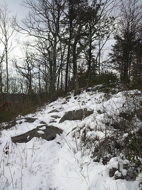 snow on the trail