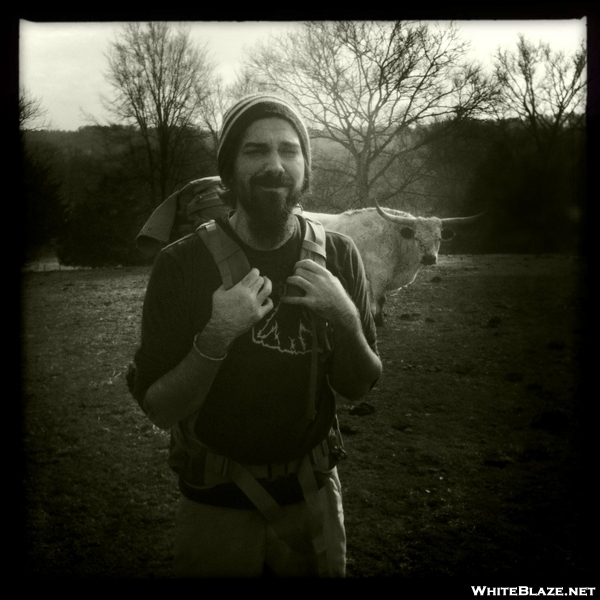 Hiking With The Longhorns