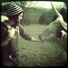 Hiking With The Longhorns