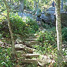 blood mountain by amnesia in Trail & Blazes in Georgia