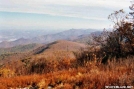 Looking North to Buena Vista from Bluff Mountain