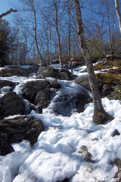 Climbing Back Up Bear Mtn.