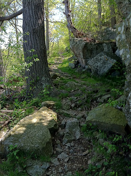 First Solo AT hike