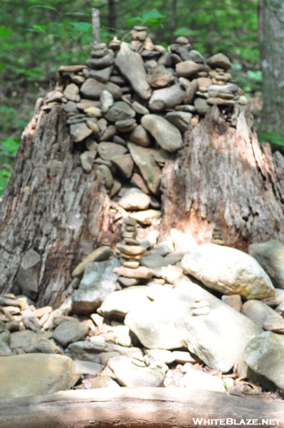 Blood Mountain Wilderness