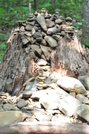 Blood Mountain Wilderness by Delta-Dawn in Trail & Blazes in Georgia