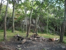 Hog Camp Gap To Rusty's (love, Va) by Diatribe in Trail & Blazes in Virginia & West Virginia