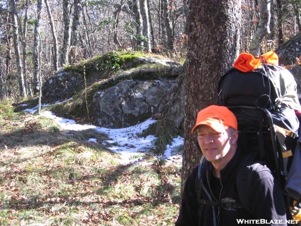 "Twisted Walking Stick" on Beartown Mountain, NC