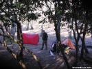 Kiwi camping at Beech Gap, NC by hiker33 in Thru - Hikers