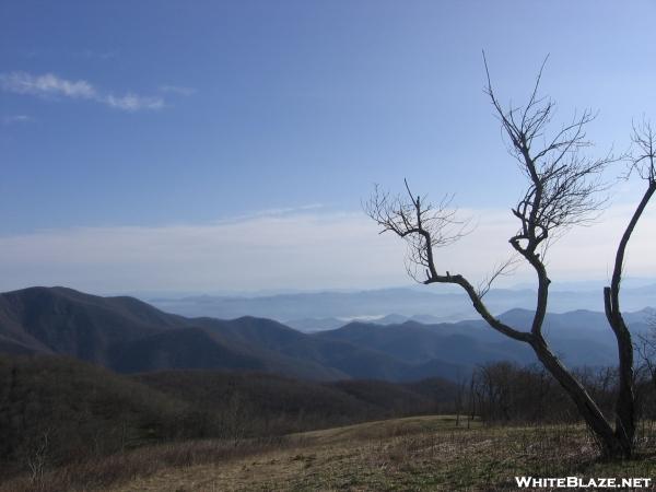 View from Siler Bald, NC