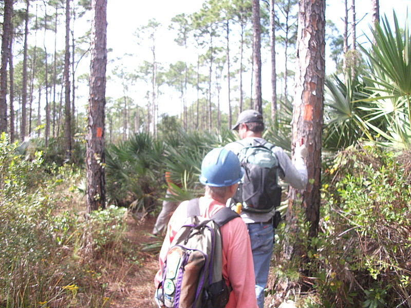 Florida Trail Maintainance