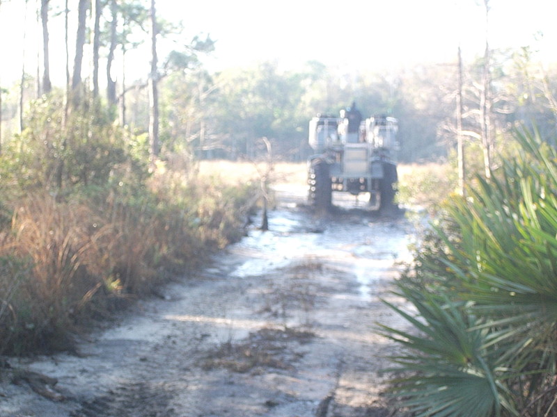 Florida Trail Maintainance