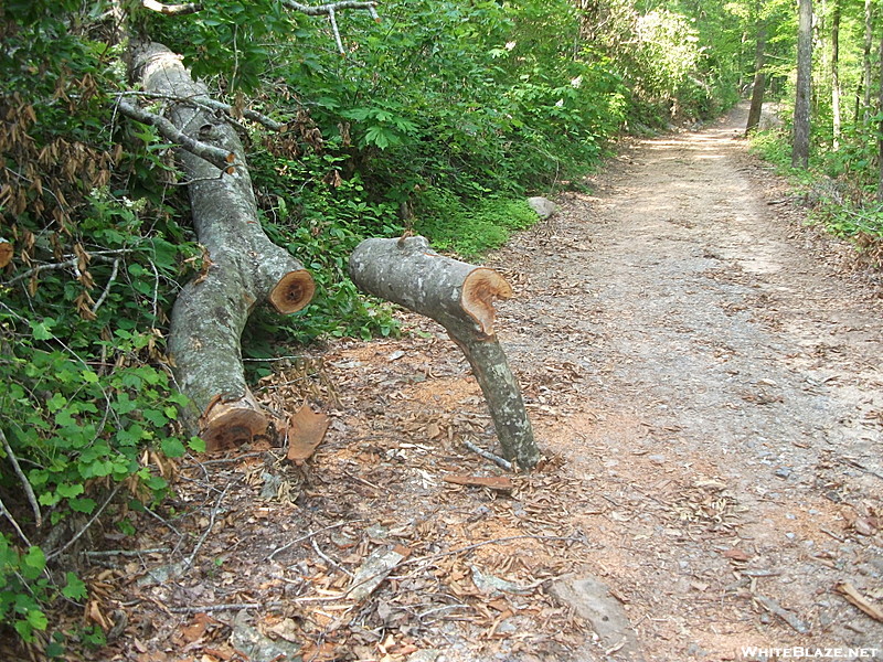 Trails, Tents, and Tornados