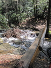 Abrams Falls Hike