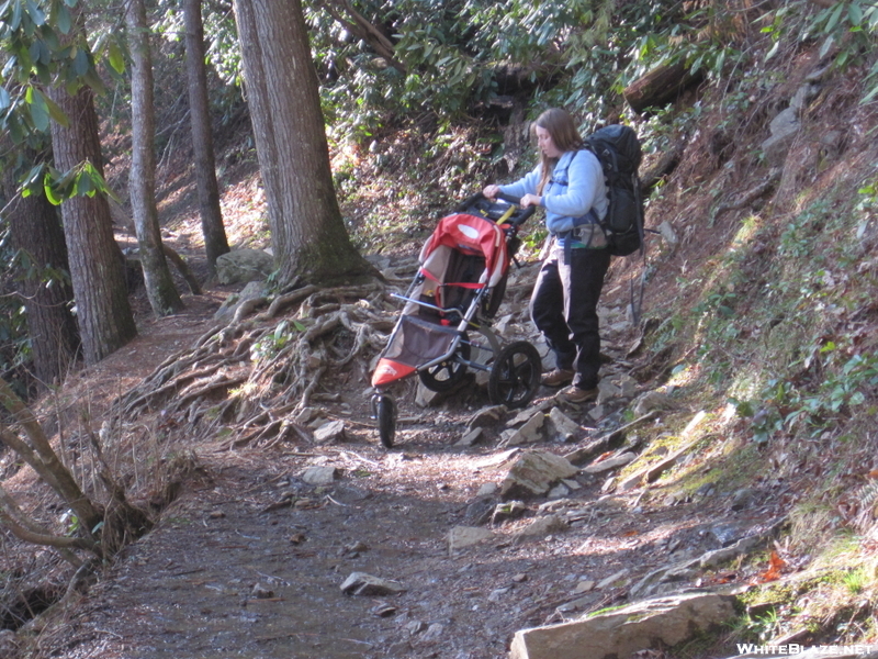 Abrams Falls Hike