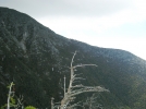 Katahdin's Hunt Spur, from the Owl