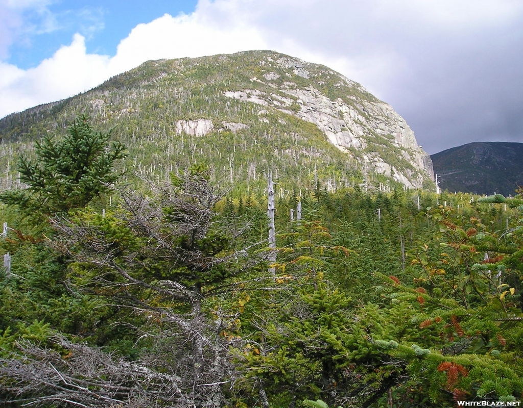 The Owl, Katahdin's companion.