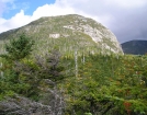 The Owl, Katahdin's companion. by TJ aka Teej in Katahdin Gallery