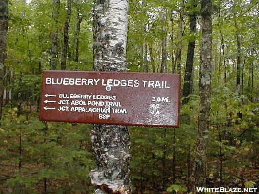 New Blueberry Ledges Trail