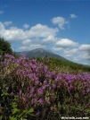 Katahdin in June