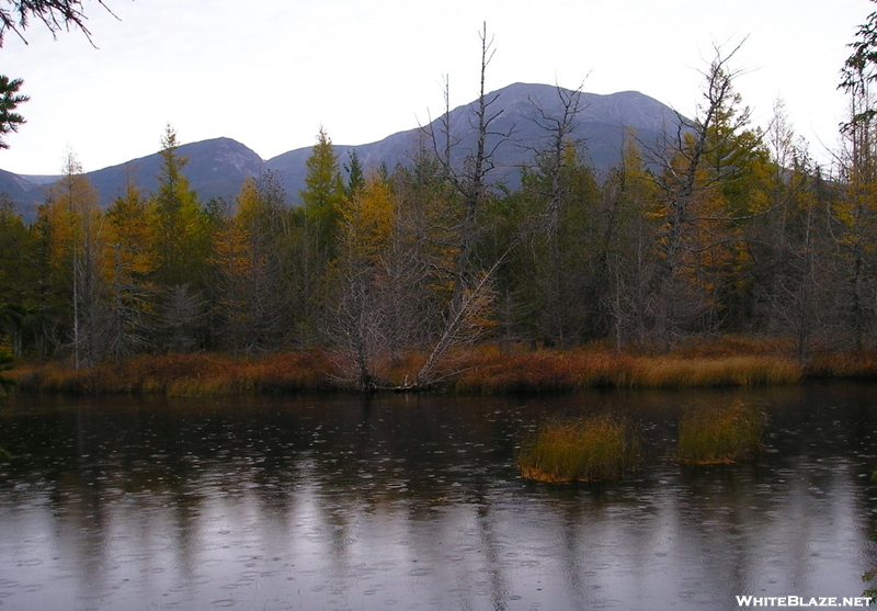 Gray Katahdin From Old AT.