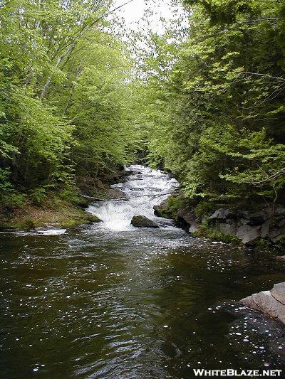 Cooper Brook Swimmin' Hole