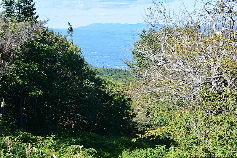 North Adams, MA South to Greylock Hike 8/2013