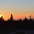 North Adams, MA South to Greylock Hike 8/2013 by goody5534 in Views in Massachusetts