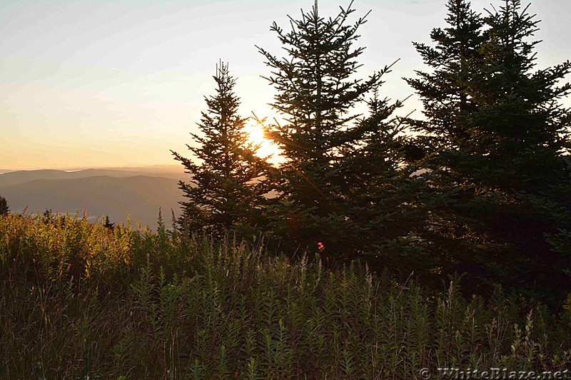 North Adams, MA South to Greylock Hike 8/2013