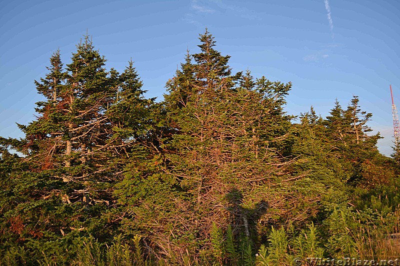 North Adams, MA South to Greylock Hike 8/2013