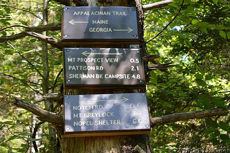 North Adams, MA South to Greylock Hike 8/2013