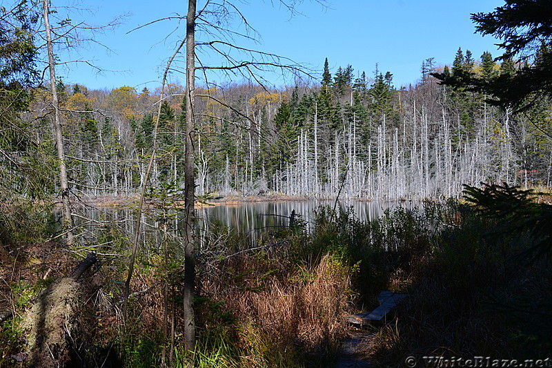 North Adams to Benninton