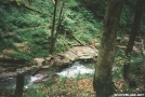 Babbling Brook by dperry in Views in New Jersey & New York