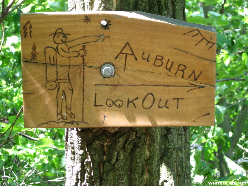 Auburn Overlook Sign