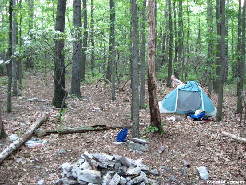 Phillips Canyon Campsite