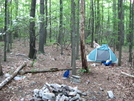 Phillips Canyon Campsite