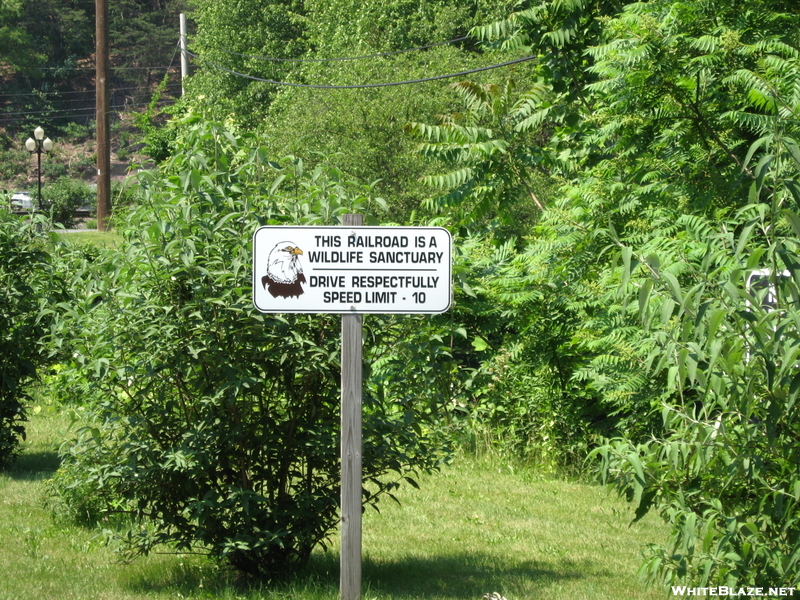 This Railroad Is A Wildlife Sanctuary