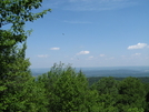 Vultures At Auburn Overlook 2 by dperry in Birds