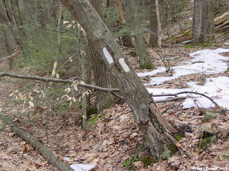 Idiot's Corner, Delaware Water Gap