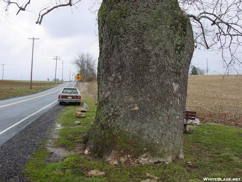 Cumberland Valley Road Walk