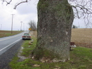 Cumberland Valley Road Walk by Second Half in Trail & Blazes in Maryland & Pennsylvania