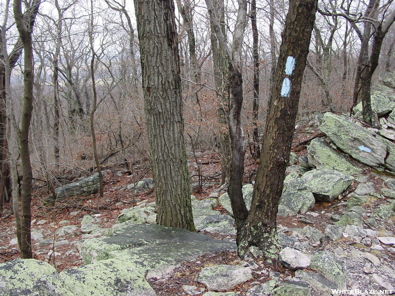 Cumberland Valley Road Walk