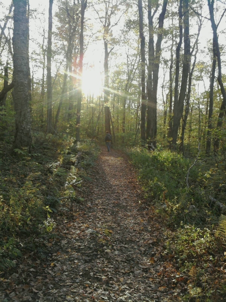 Mt. Greylock