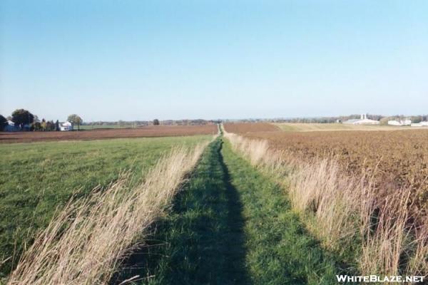 Field Walk before Boiling Springs