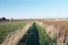 Field Walk before Boiling Springs by whitcomb in Views in Maryland & Pennsylvania