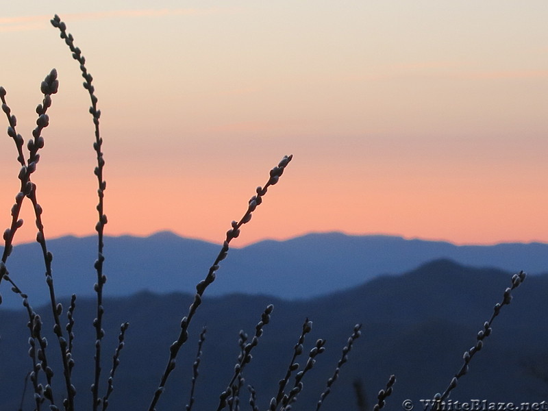 Cheowah Sunrise